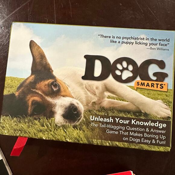 Doggy Game Fun! - Picture 8 of 10